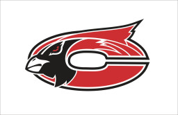 Chadwick High School mascot