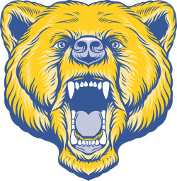 Bartlett High School mascot