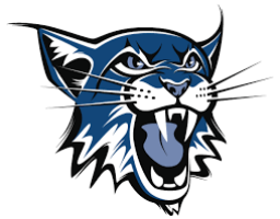 Three Rivers HomeLink High School mascot