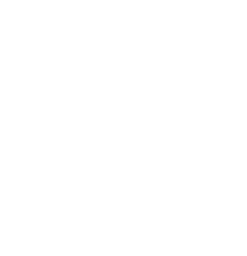 Living Stones Christian High School mascot