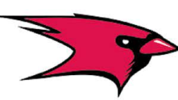 Cardinal Newman High School mascot