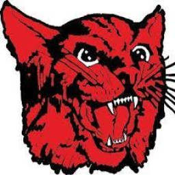 Brunswick Junior Senior High School mascot