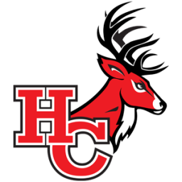 Hoke County High School mascot