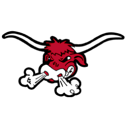 South High School mascot