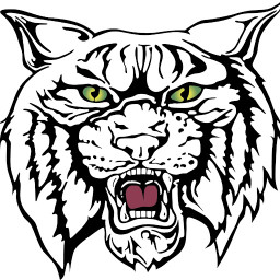 Winside High School mascot