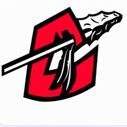 Cobre High School mascot