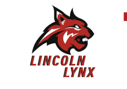 Lincoln County High School mascot