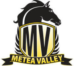 Metea Valley High School mascot