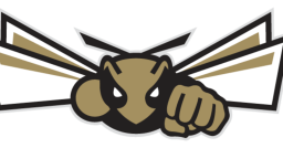 Henryville High School mascot