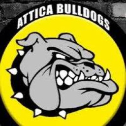 Attica High School mascot
