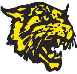 Moscow High School mascot