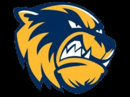 Bellevue High School mascot