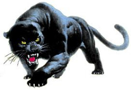 Dodson High School mascot