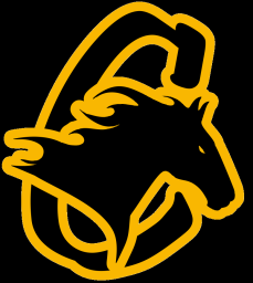 Covenant Christian High School mascot