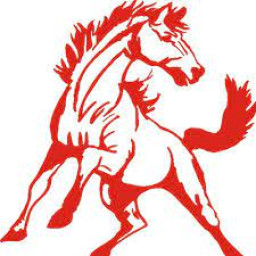 Monument Valley High School mascot