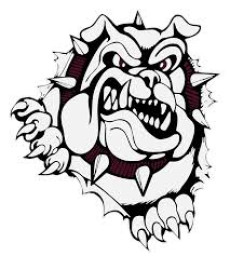 Woodridge High School mascot