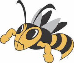 Fulton High School mascot