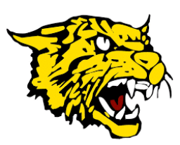 Diamond High School mascot