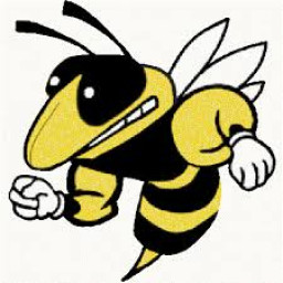 Greenville Weston High School mascot