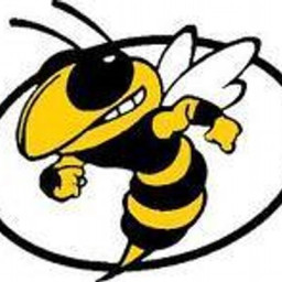 Bassfield High School mascot