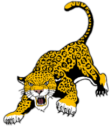 Northern Cass High School mascot