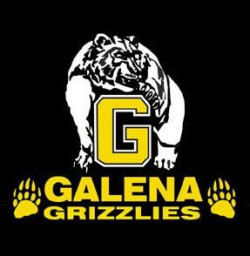 Galena High School mascot