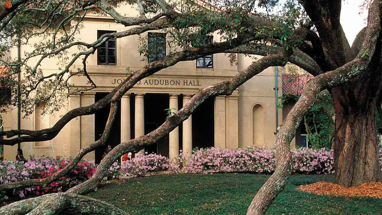 LSU Tigers
