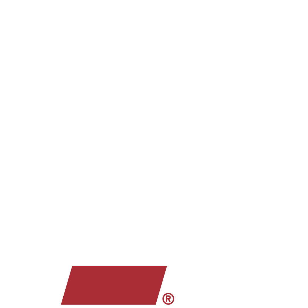 Cincinnati Bearcats mascot