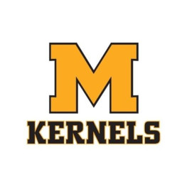 Mitchell High School mascot