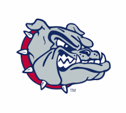 Bolton High School mascot