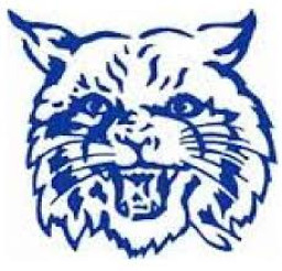 Wallace County High School mascot