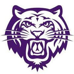 Elida High School mascot
