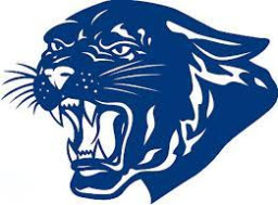 Ford High School mascot
