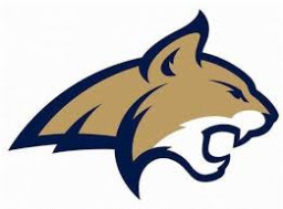 Twin Pines High School mascot