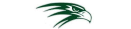 Liberty High School mascot