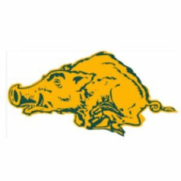 Crystal City High School mascot