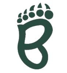 St. Bede Academy mascot