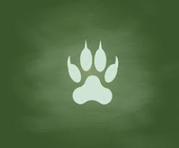 Jasper High School mascot