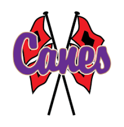 Cartersville High School mascot