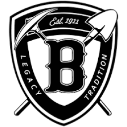 Brauxite High School mascot