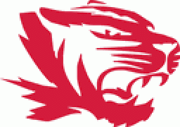Princeton Community High School mascot