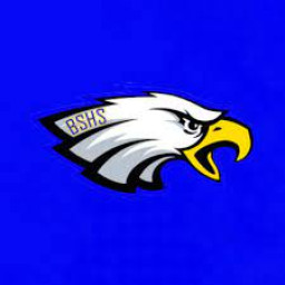 Big Sky High School mascot