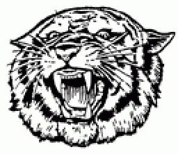 Mulvane High School mascot