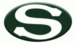 South High School mascot