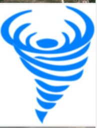 Holy Family Catholic High School mascot