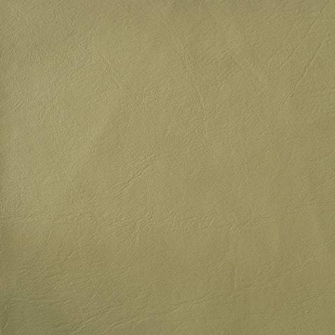 Parchment