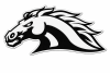 School's mascot